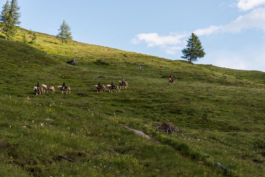 Landhaus Alpenrose - Feriendomizile Pichler Hotell Heiligenblut Exteriör bild