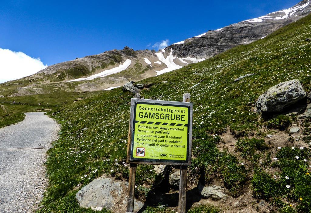 Landhaus Alpenrose - Feriendomizile Pichler Hotell Heiligenblut Exteriör bild